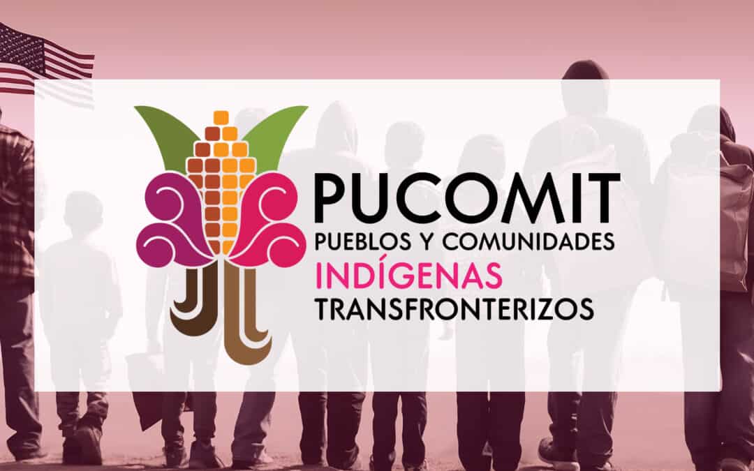 Por qué nace PUCOMIT